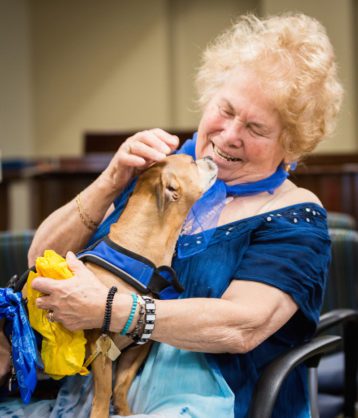 a woman petting a dog at a pet visit, which is a fun activity that some assisted living communities offer