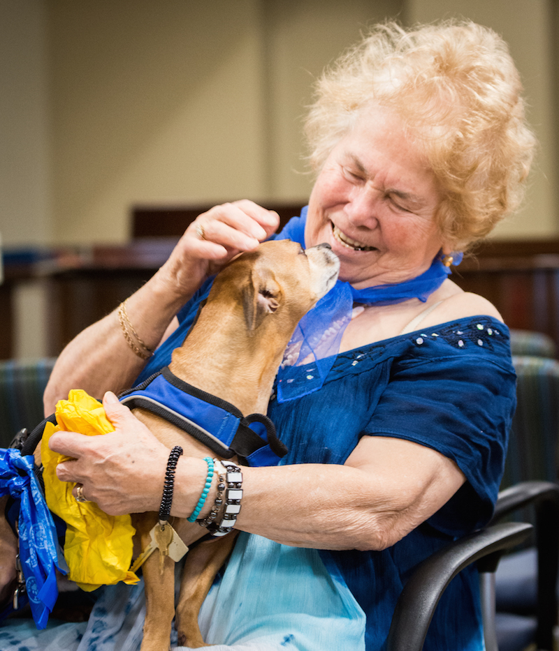 a woman petting a dog at a pet visit, which is a fun activity that some assisted living communities offer