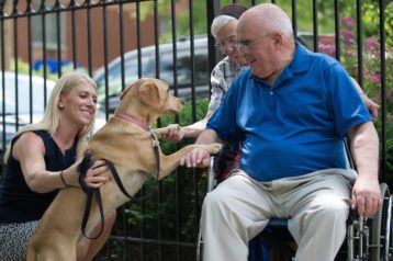 Caregiver communication: Older man in wheelchair and CMSS resident pet a dog
