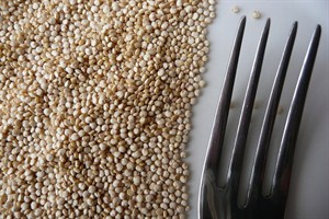 800px -Quinoa _y