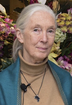 Jane _Goodall _2015