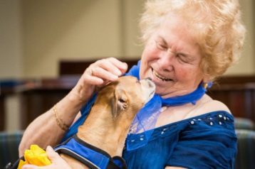 An older woman smiles while she pets a small dog