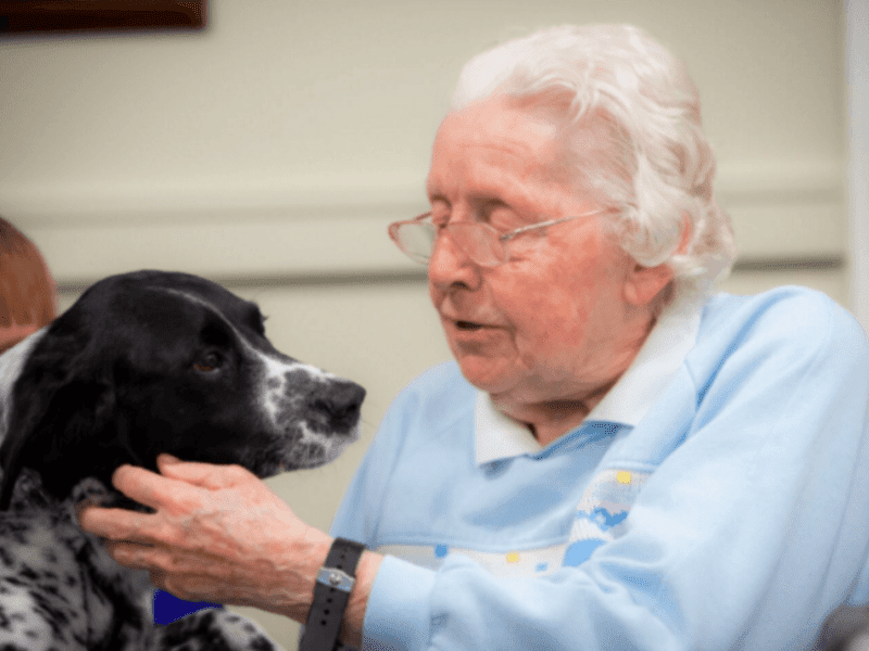 Older woman petting a dog while at a community of supportive living in illinois
