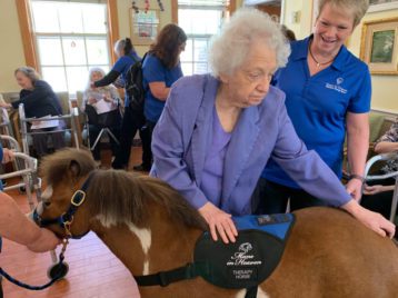 Mini Horses Visit Chicago Methodist Seniors